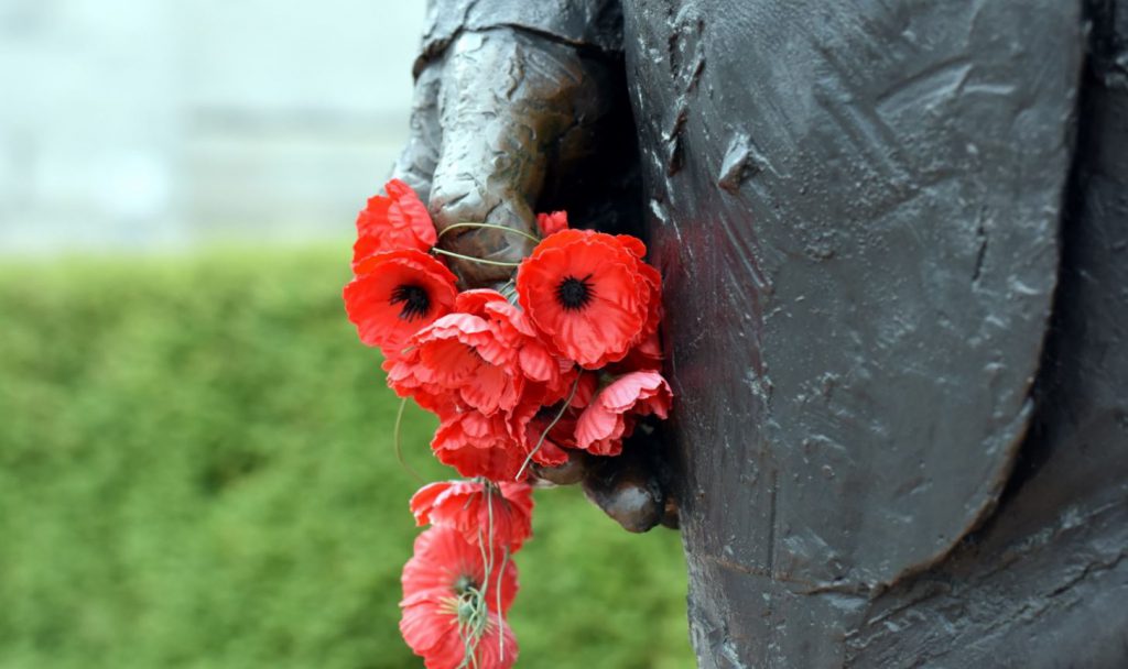 poppies anzac day