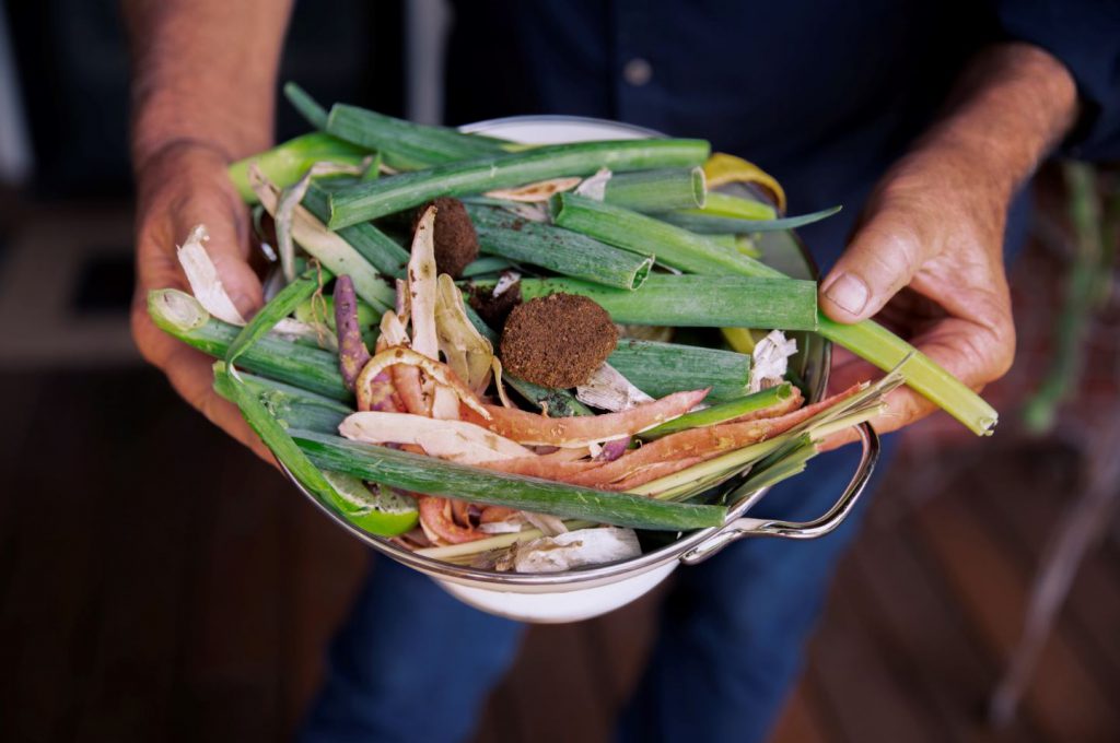 steve composting kitchen scraps