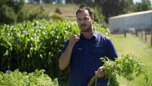 Guy Jeffreys, Executive Chef of the Fogarty Wine Group