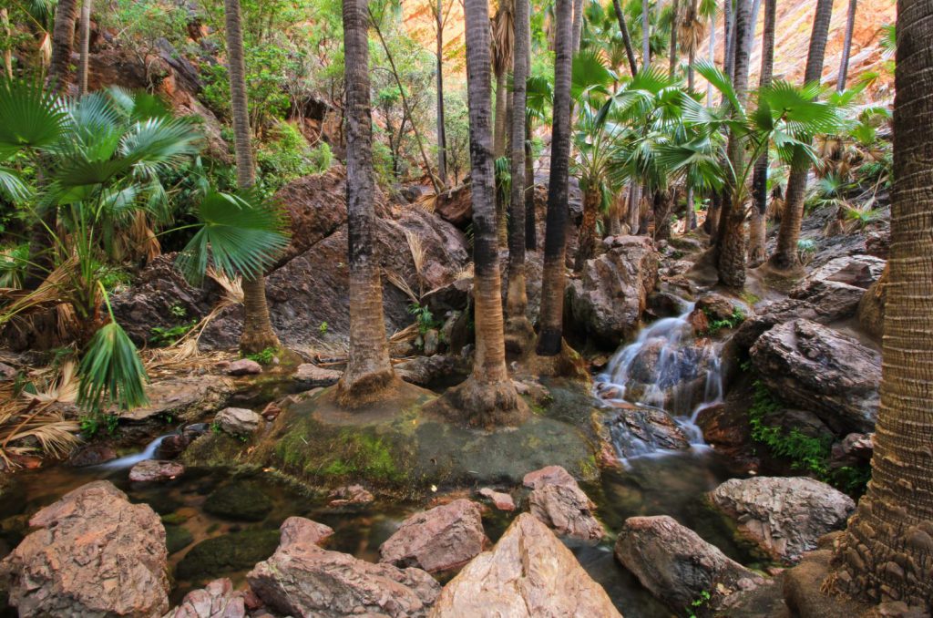 Truly WA Zebedee thermal springs 